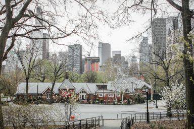 Vue d'un parc avec des arbres, des bâtiments modernes en arrière-plan et une cabane.